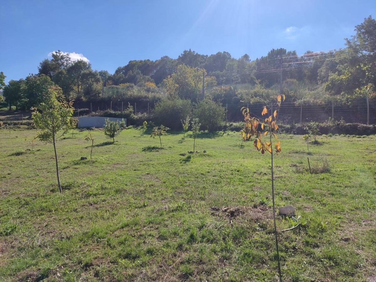 הוילה Santa Comba de Rossas Tinyhouse Rossas מראה חיצוני תמונה